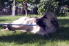 Filename=2636.jpg
Filesize=77KiB
Dimensions=800x543
Date added=%591 %13, %2006 2636.jpg