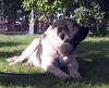 Filename=2637.jpg
Filesize=83KiB
Dimensions=800x654
Date added=%590 %13, %2006 2637.jpg