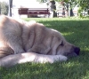 Filename=2638.jpg
Filesize=84KiB
Dimensions=800x718
Date added=%590 %13, %2006 2638.jpg