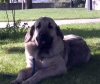 Filename=2639.jpg
Filesize=69KiB
Dimensions=800x678
Date added=%590 %13, %2006 2639.jpg