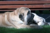 Filename=2641.jpg
Filesize=70KiB
Dimensions=1000x669
Date added=%590 %13, %2006 2641.jpg
