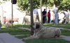 Filename=2650.jpg
Filesize=61KiB
Dimensions=800x500
Date added=%594 %13, %2006 2650.jpg