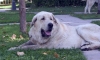 Filename=2653.jpg
Filesize=52KiB
Dimensions=800x483
Date added=%935 %13, %2006 2653.jpg