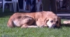 Filename=2657.jpg
Filesize=55KiB
Dimensions=800x427
Date added=%934 %13, %2006 2657.jpg