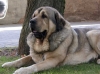 Filename=2659.jpg
Filesize=51KiB
Dimensions=800x598
Date added=%934 %13, %2006 2659.jpg