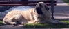 Filename=2662.jpg
Filesize=30KiB
Dimensions=800x339
Date added=%932 %13, %2006 2662.jpg