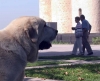 Filename=2663.jpg
Filesize=49KiB
Dimensions=800x651
Date added=%940 %13, %2006 2663.jpg