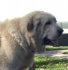 Filename=2664.jpg
Filesize=43KiB
Dimensions=770x800
Date added=%939 %13, %2006 2664.jpg