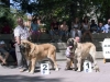 Filename=2837-ronautocan-sanson2-1.jpg
Filesize=57KiB
Dimensions=800x601
Date added=%761 %21, %2006 2837-ronautocan-sanson2-1.jpg