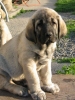 Filename=2~0.jpg
Filesize=66KiB
Dimensions=600x800
Date added=%411 %07, %2007 2~0.jpg