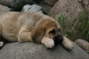Filename=2~1.jpg
Filesize=139KiB
Dimensions=701x468
Date added=%881 %12, %2010 2~1.jpg
