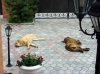 Filename=2~3.jpg
Filesize=81KiB
Dimensions=914x685
Date added=%584 %10, %2009 2~3.jpg