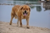 Filename=302269191070152cmed.jpg
Filesize=29KiB
Dimensions=500x332
Date added=%268 %12, %2009 302269191070152cmed.jpg