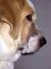 Filename=330ecd2.jpg
Filesize=3KiB
Dimensions=161x215
Date added=%930 %27, %2008 330ecd2.jpg