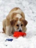 Filename=330eec2.jpg
Filesize=4KiB
Dimensions=161x215
Date added=%929 %27, %2008 330eec2.jpg