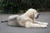 Filename=33~0.jpg
Filesize=141KiB
Dimensions=1084x729
Date added=%460 %08, %2007 33~0.jpg