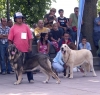 Filename=34-plus.jpg
Filesize=68KiB
Dimensions=800x767
Date added=%410 %17, %2006 34-plus.jpg