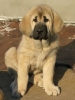 Filename=3~0.jpg
Filesize=40KiB
Dimensions=600x800
Date added=%412 %07, %2007 3~0.jpg