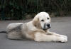 Filename=44.jpg
Filesize=133KiB
Dimensions=1035x724
Date added=%460 %08, %2007 44.jpg