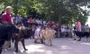 Filename=46-50-51-52.jpg
Filesize=75KiB
Dimensions=900x556
Date added=%492 %19, %2006 46-50-51-52.jpg