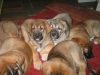 Filename=46.jpg
Filesize=27KiB
Dimensions=600x450
Date added=%446 %24, %2006 46.jpg