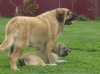Filename=4~1.jpg
Filesize=157KiB
Dimensions=767x575
Date added=%828 %03, %2009 4~1.jpg