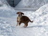 Filename=4~7.jpg
Filesize=70KiB
Dimensions=802x601
Date added=%862 %16, %2010 4~7.jpg