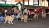 Filename=5-finalistas.jpg
Filesize=131KiB
Dimensions=1268x737
Date added=%943 %06, %2013 5-finalistas.jpg
