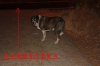 Filename=5.JPG
Filesize=353KiB
Dimensions=1600x1067
Date added=%817 %27, %2011 5.JPG