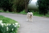 Filename=52.jpg
Filesize=191KiB
Dimensions=1069x727
Date added=%460 %08, %2007 52.jpg