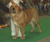 Filename=5337.jpg
Filesize=19KiB
Dimensions=480x400
Date added=%775 %12, %2006 5337.jpg