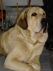 Filename=5339.jpg
Filesize=15KiB
Dimensions=300x400
Date added=%781 %12, %2006 5339.jpg