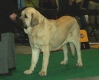Filename=5346.jpg
Filesize=22KiB
Dimensions=494x400
Date added=%850 %12, %2006 5346.jpg