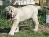 Filename=5~1.jpg
Filesize=91KiB
Dimensions=800x600
Date added=%410 %07, %2007 5~1.jpg