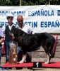 Filename=6-loma_de_riolago.jpg
Filesize=143KiB
Dimensions=819x954
Date added=%436 %16, %2013 6-loma_de_riolago.jpg