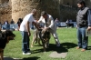 Filename=6314-grey-juez.jpg
Filesize=162KiB
Dimensions=1200x800
Date added=%829 %30, %2008 6314-grey-juez.jpg
