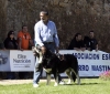 Filename=6327-azabache.jpg
Filesize=135KiB
Dimensions=1200x1020
Date added=%470 %07, %2008 6327-azabache.jpg