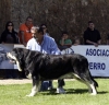 Filename=6344-azabache.jpg
Filesize=143KiB
Dimensions=1200x1160
Date added=%685 %18, %2008 6344-azabache.jpg