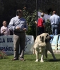 Filename=6353-open-males.jpg
Filesize=142KiB
Dimensions=1029x1200
Date added=%832 %30, %2008 6353-open-males.jpg