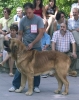 Filename=67tigre-vicheriza.jpg
Filesize=61KiB
Dimensions=635x800
Date added=%754 %19, %2006 67tigre-vicheriza.jpg