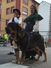 Filename=68442018_2424529224298838_4789408049989156864_n.jpg
Filesize=154KiB
Dimensions=720x960
Date added=%000 %16, %2019 68442018_2424529224298838_4789408049989156864_n.jpg