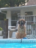 Filename=8-4-07%20ANGIE%20IN%20POOL,.jpg
Filesize=36KiB
Dimensions=480x640
Date added=%372 %06, %2007 8-4-07%20ANGIE%20IN%20POOL,.jpg