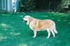 Filename=841865-R1-18.jpg
Filesize=84KiB
Dimensions=700x473
Date added=%512 %17, %2006 841865-R1-18.jpg
