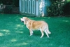 Filename=841865-R1-19.jpg
Filesize=79KiB
Dimensions=700x473
Date added=%511 %17, %2006 841865-R1-19.jpg