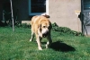 Filename=841865-R1-2.jpg
Filesize=68KiB
Dimensions=600x405
Date added=%511 %17, %2006 841865-R1-2.jpg