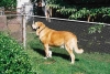 Filename=841865-R1-5.jpg
Filesize=98KiB
Dimensions=600x405
Date added=%517 %17, %2006 841865-R1-5.jpg