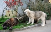 Filename=9.jpg
Filesize=310KiB
Dimensions=1119x711
Date added=%461 %08, %2007 9.jpg