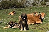 Filename=92421710_1586403794845812_3435864809055191040_o.jpg
Filesize=367KiB
Dimensions=2048x1356
Date added=%852 %12, %2020 92421710_1586403794845812_3435864809055191040_o.jpg