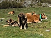 Filename=92548144_1586403891512469_7695593779587186688_o.jpg
Filesize=486KiB
Dimensions=2048x1536
Date added=%852 %12, %2020 92548144_1586403891512469_7695593779587186688_o.jpg