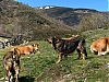 Filename=92573040_1586402941512564_6171603812323688448_o.jpg
Filesize=452KiB
Dimensions=2048x1536
Date added=%852 %12, %2020 92573040_1586402941512564_6171603812323688448_o.jpg